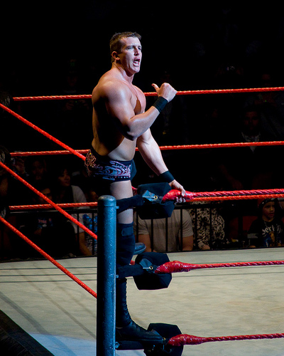 Ted dibiase WWE wallpaper ~ WWE Superstars,WWE wallpapers,WWE pictures