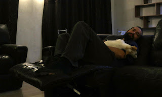 Dozing off in comfort Dozing off in comfort