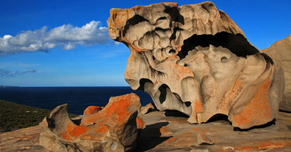 A new way to hop around Australia's Kangaroo Island