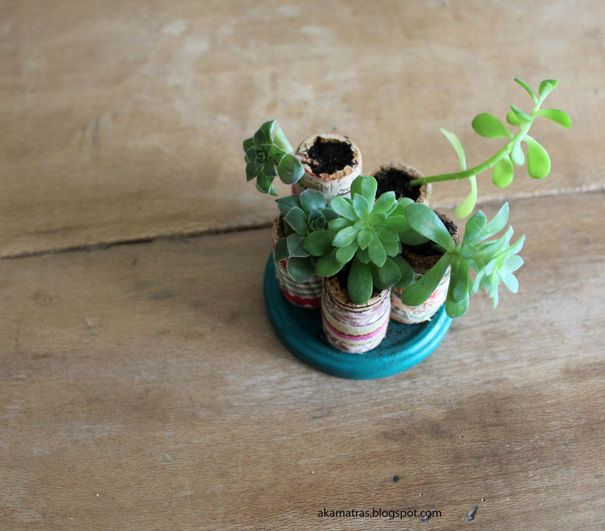 How to make miniature cork planters for your succulents Akamatra