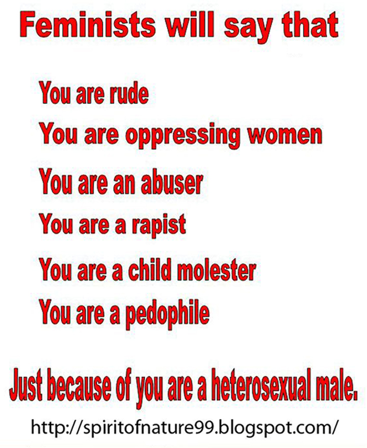 feminist theory