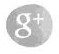 Google +