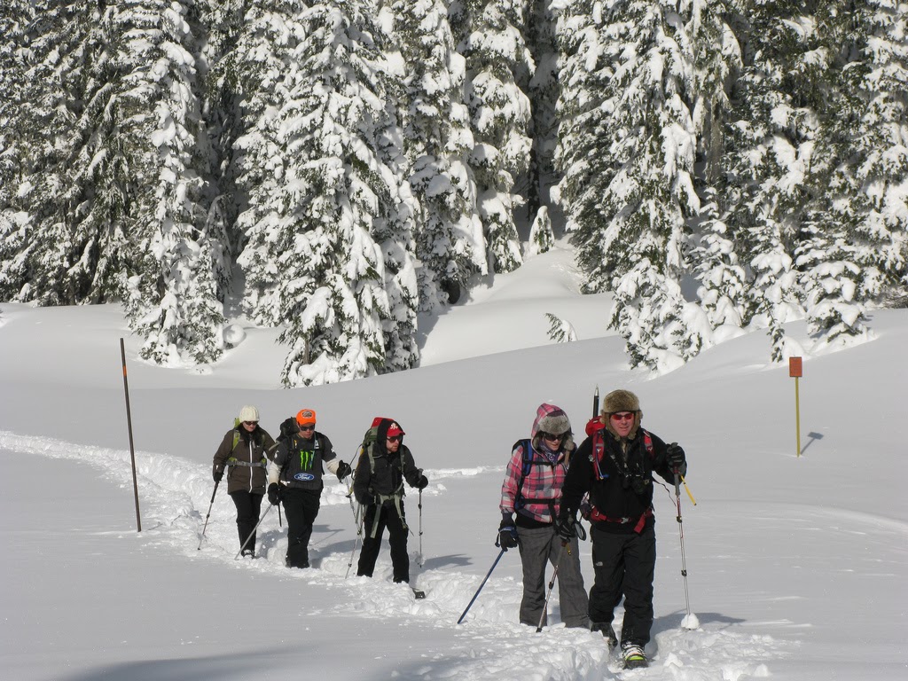Visit Rainier Snowshoeing Tips Expert Advice on Snowshoeing in the