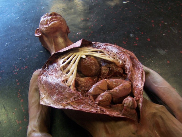 kenya forensics online resource forensic versus hospital autopsies