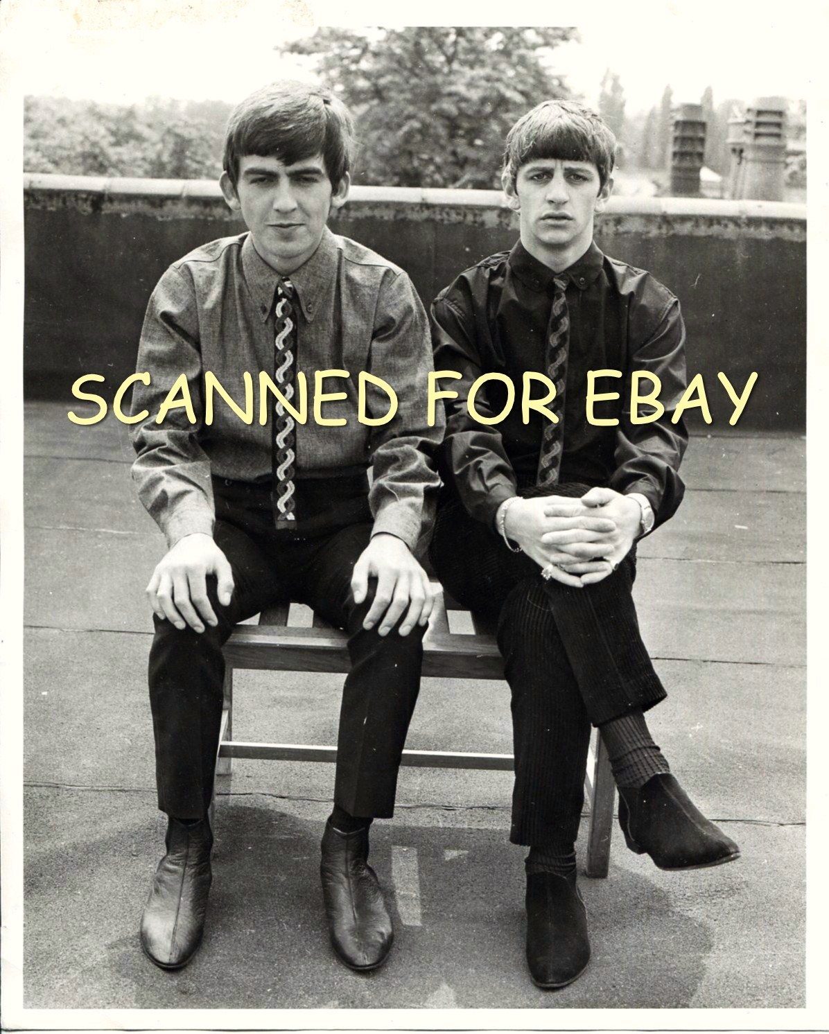 Meet the Beatles for Real Neckties