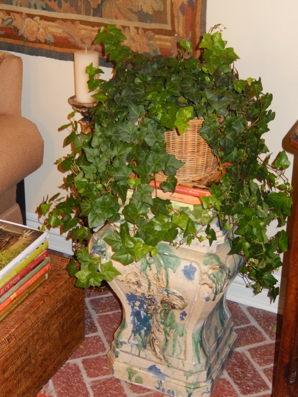 The French Tangerine grocery store plants/flowers