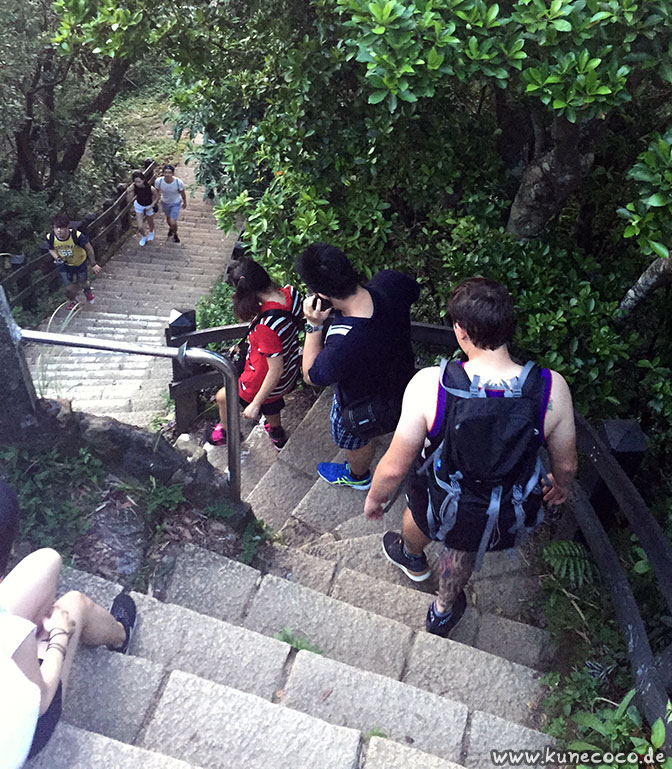 KuneCoco • Elephant Mountain, Taipei Taiwan • Hiking Trail KuneCoco • Elephant Mountain, Taipei Taiwan • Hiking Trail