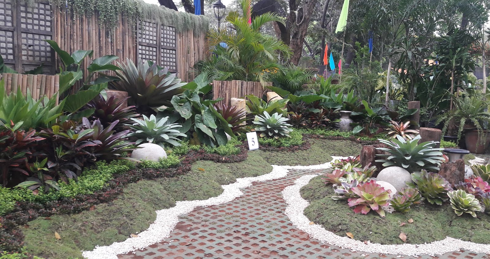 OUR PHILIPPINE TREES