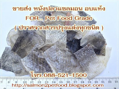 ขายส่ง วัตถุดิบ ผลิต อาหารสุนัขเกรดพรีเมี่ยม ( หนังปลาแซลมอน  Salmon Skin Chews)100% Natural Wild Gourmet Salmon Treat