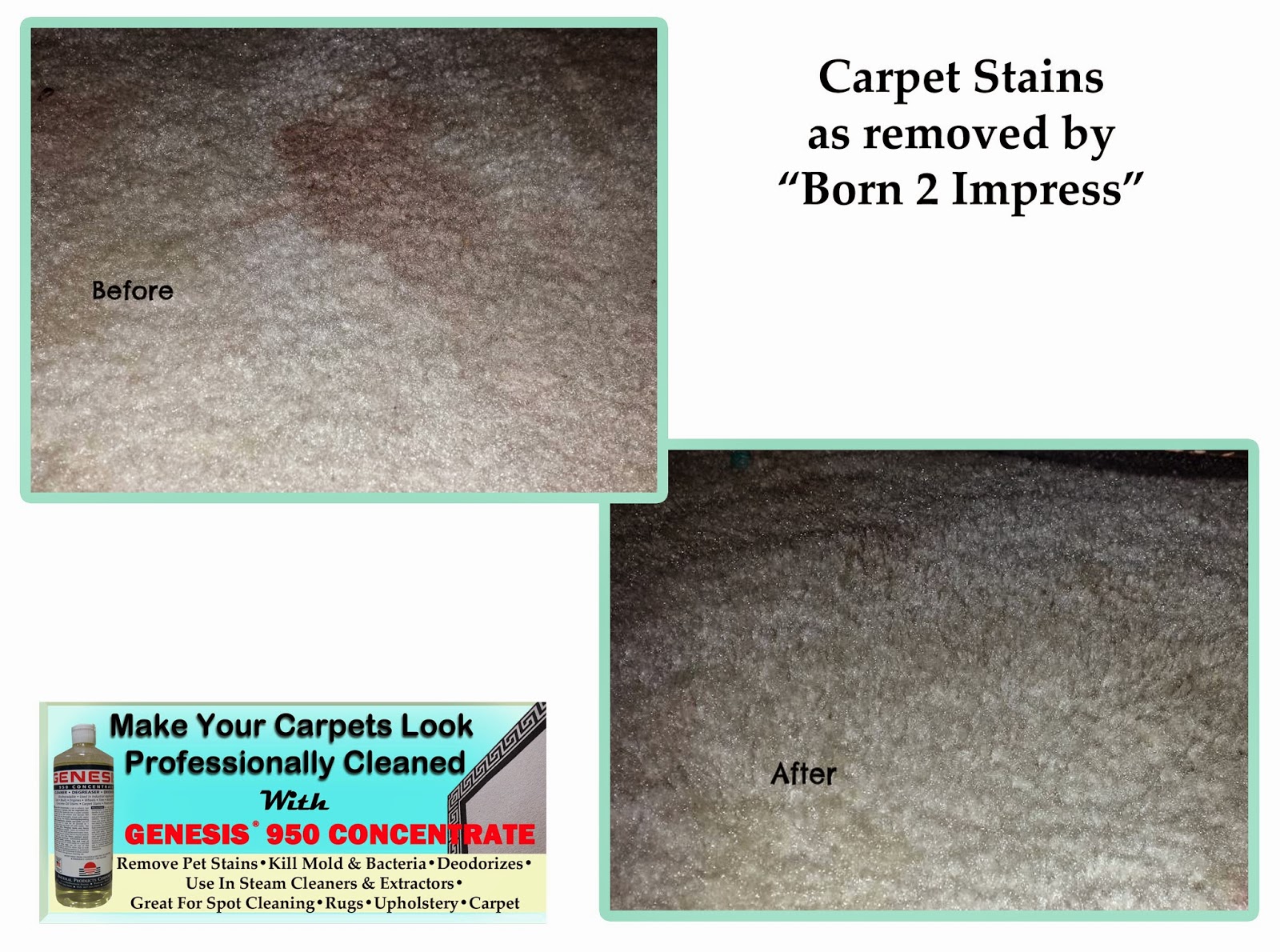 How to remove coffee stains from carpet Remove coffee stains