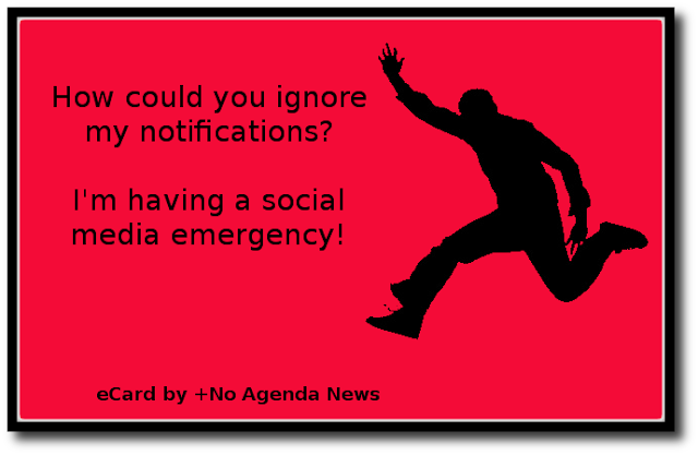 funny pictures and memes