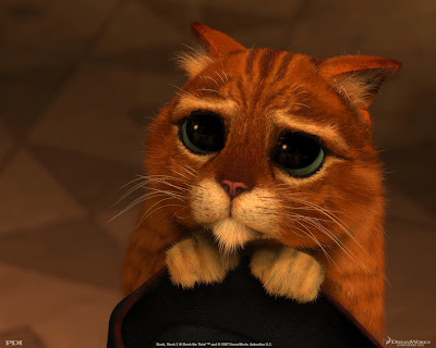 GATITO DE SHREK gatito de shrek: