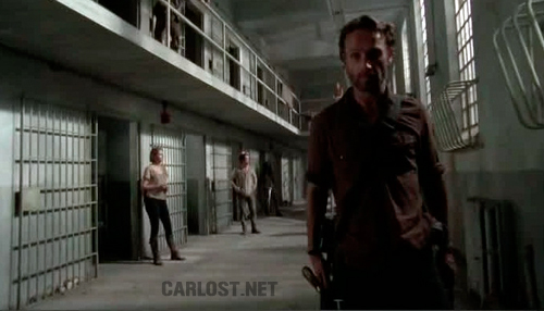 The Walking Dead The Walking Dead