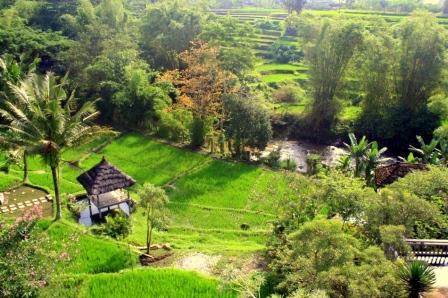 Hotel Murah di Batu Malang Indonesia | Hotel and Travel Indonesia