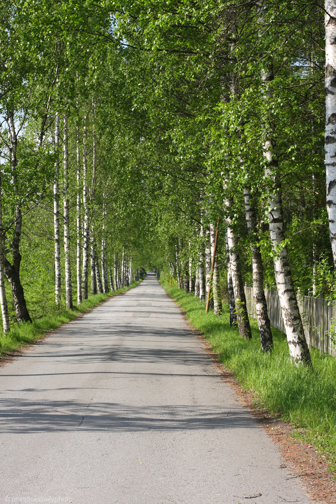 Photos from Seinäjoki June 2011