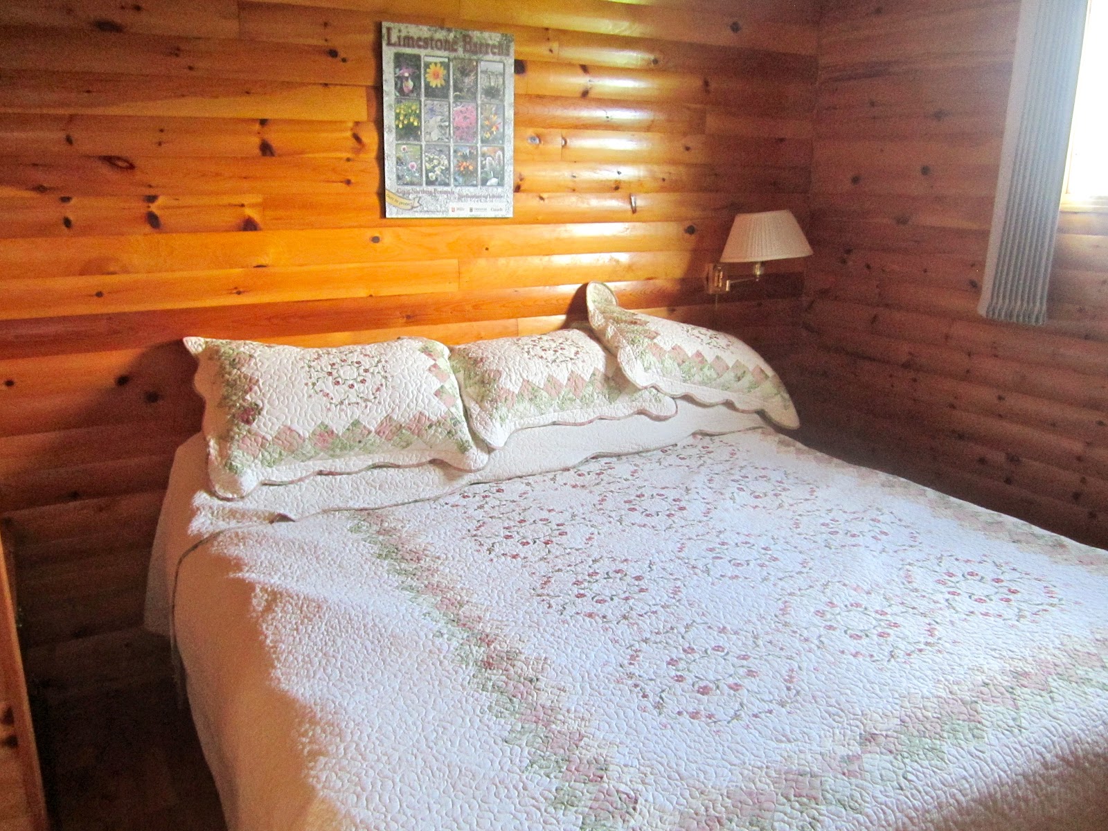 Sunday Morning Hotel Review Gros Morne Cabins Rocky Harbour