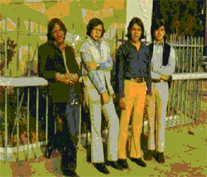 Andanzas de un Rockero y Blusero