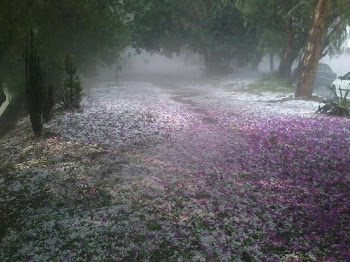 POR QUE SE GENERA EL GRANIZO