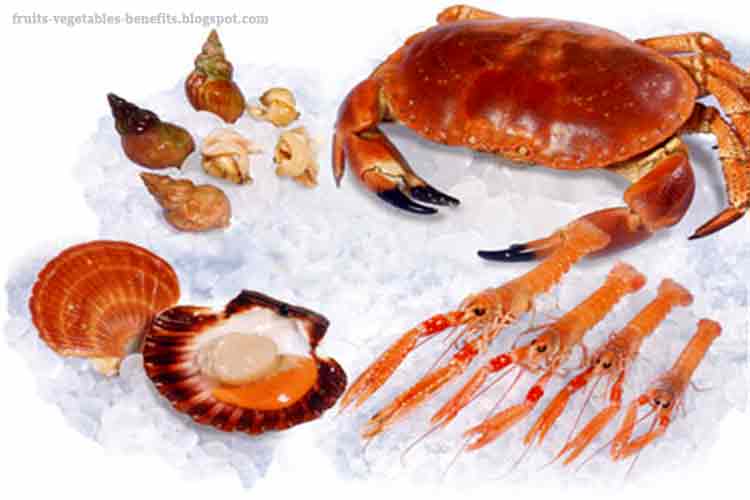 Fruits & Vegetables Benefits benefits of eating shellfish