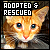 I like adopted and rescued cats