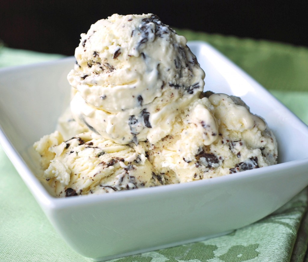 A NonDairy Ice Cream Life Coconut with Chocolate Chip Ice Cream