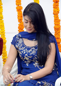 Shriya_Saran_Telugu-Hot_Actress Shriya_Saran_Telugu-Hot_Actress