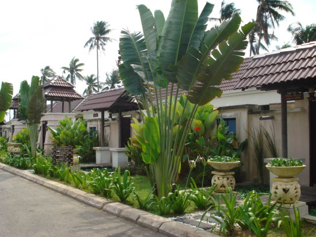 Mayang sari resort dungun