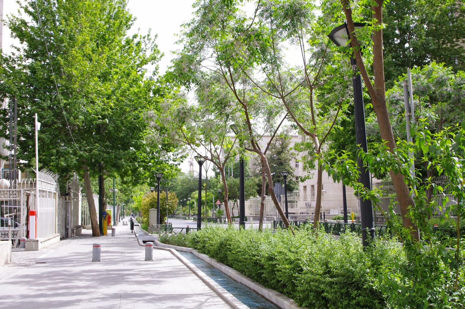 attachments and misfits ベールが覆う嘘と本音