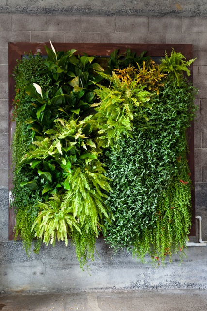 Plants On Walls vertical garden systems: New Zeland florafelt vertical garden systems