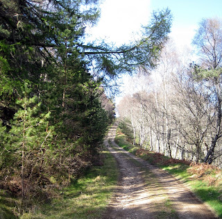 Going up Creagan Riabhach, Deeside