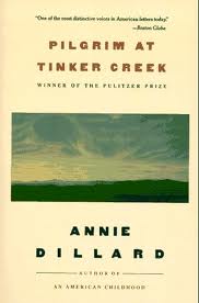 Analyse pilgrim at tinker creek as a spiritual excursion into the natural world image