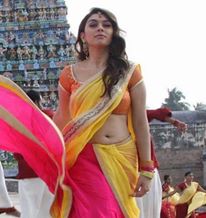 Indian Actress Hot Masala Photos: Hansika Motwani Sexy Picture