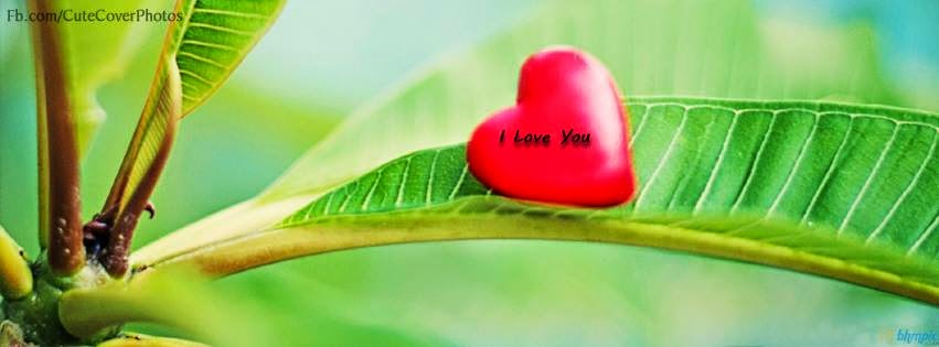 FB Cover Photos 2015 FB Cover Photos 2015
