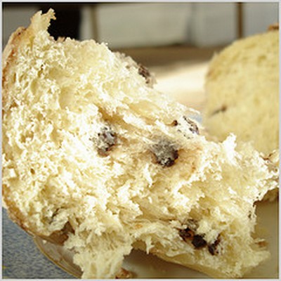 Panettone al Cioccolato Panettone al Cioccolato