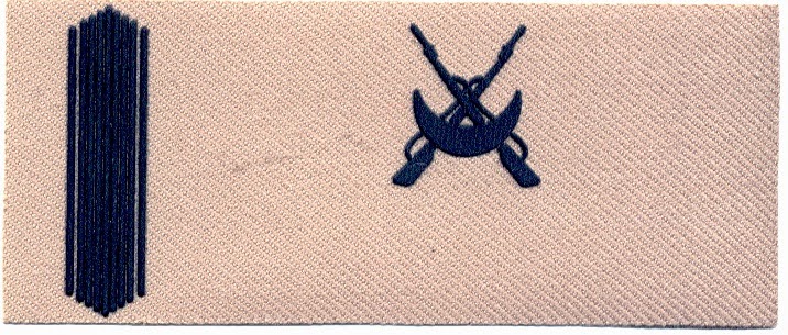 COLECCIONISMO MILITAR E.T. FUERZAS REGULARES