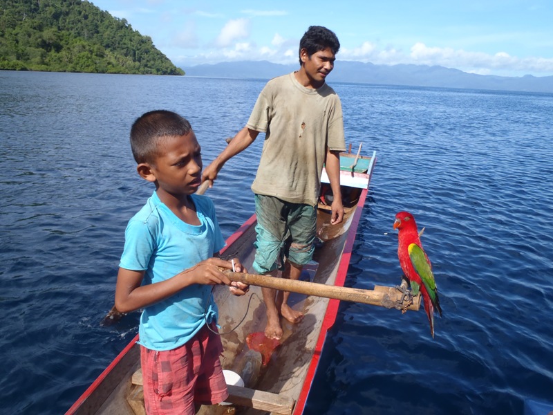 Boy And Bird