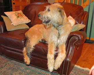 Rory also likes couches, tv, and a fire in the fireplace