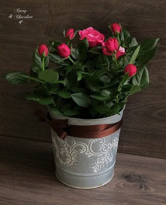 Rosas Rosas