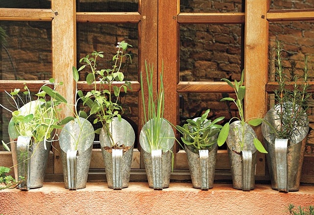 fotos jardim quadrado:blog de decoração – Arquitrecos: 7 idéias de hortas dentro de casa fotos jardim quadrado:blog de decoração – Arquitrecos: 7 idéias de hortas dentro de casa