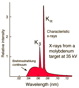 essay on the element neon
