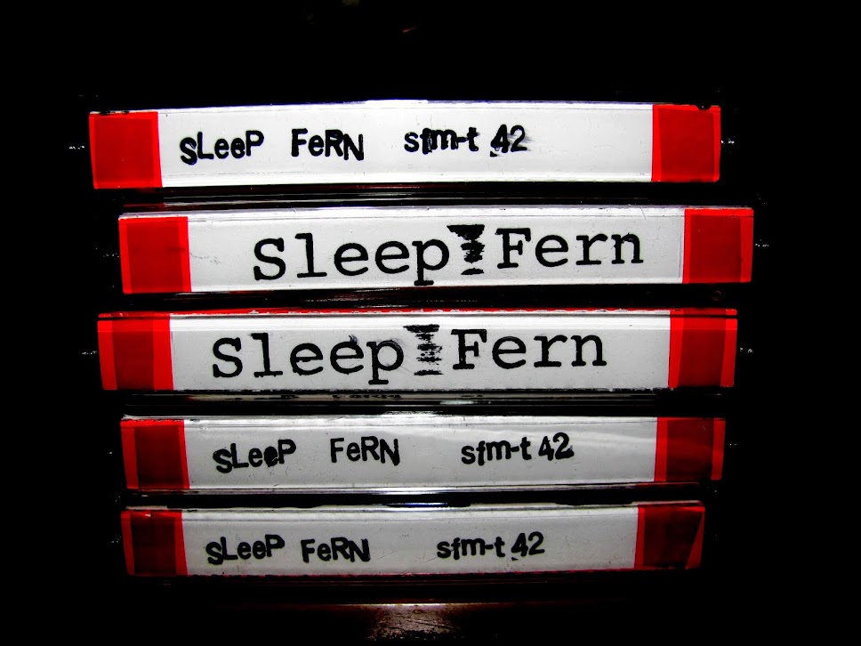 Sleep Fern