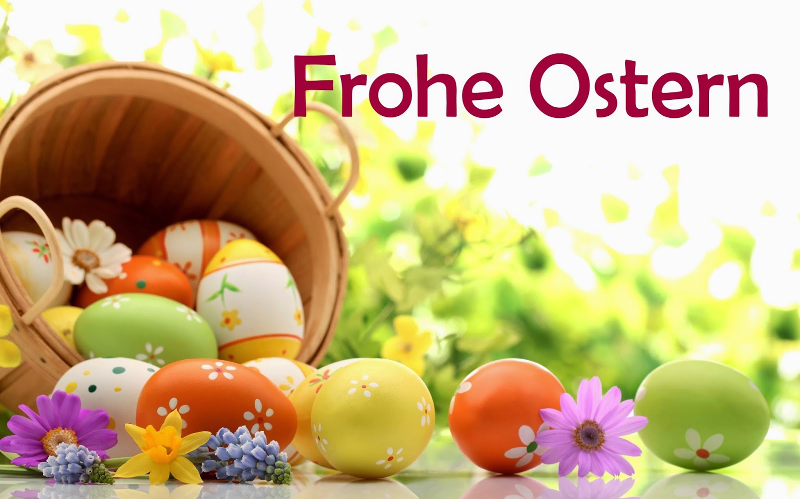 Ostergrüße: Lustige Bilder und Videos per Facebook - Lustige Whatsapp Bilder Deutsch