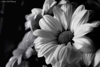 black white flower arrangements