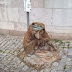 Το άγαλμα ενός  σκύλου που κρυώνει...