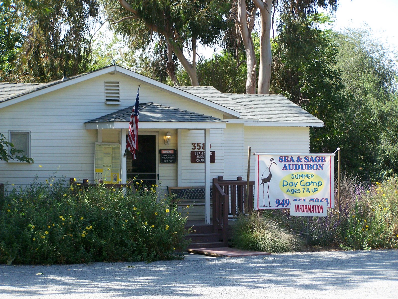 Oc Birder Girl Bird Walks And Nature Programs In Orange County