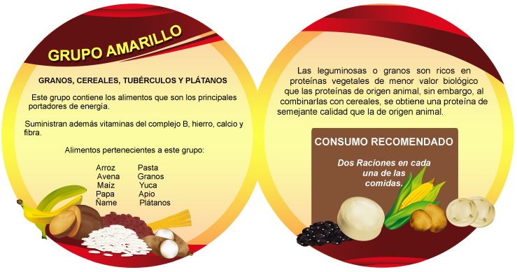 Trompo alimenticio (Nutrición para la vida) - Identi Trompo alimenticio (Nutrición para la vida) - Identi