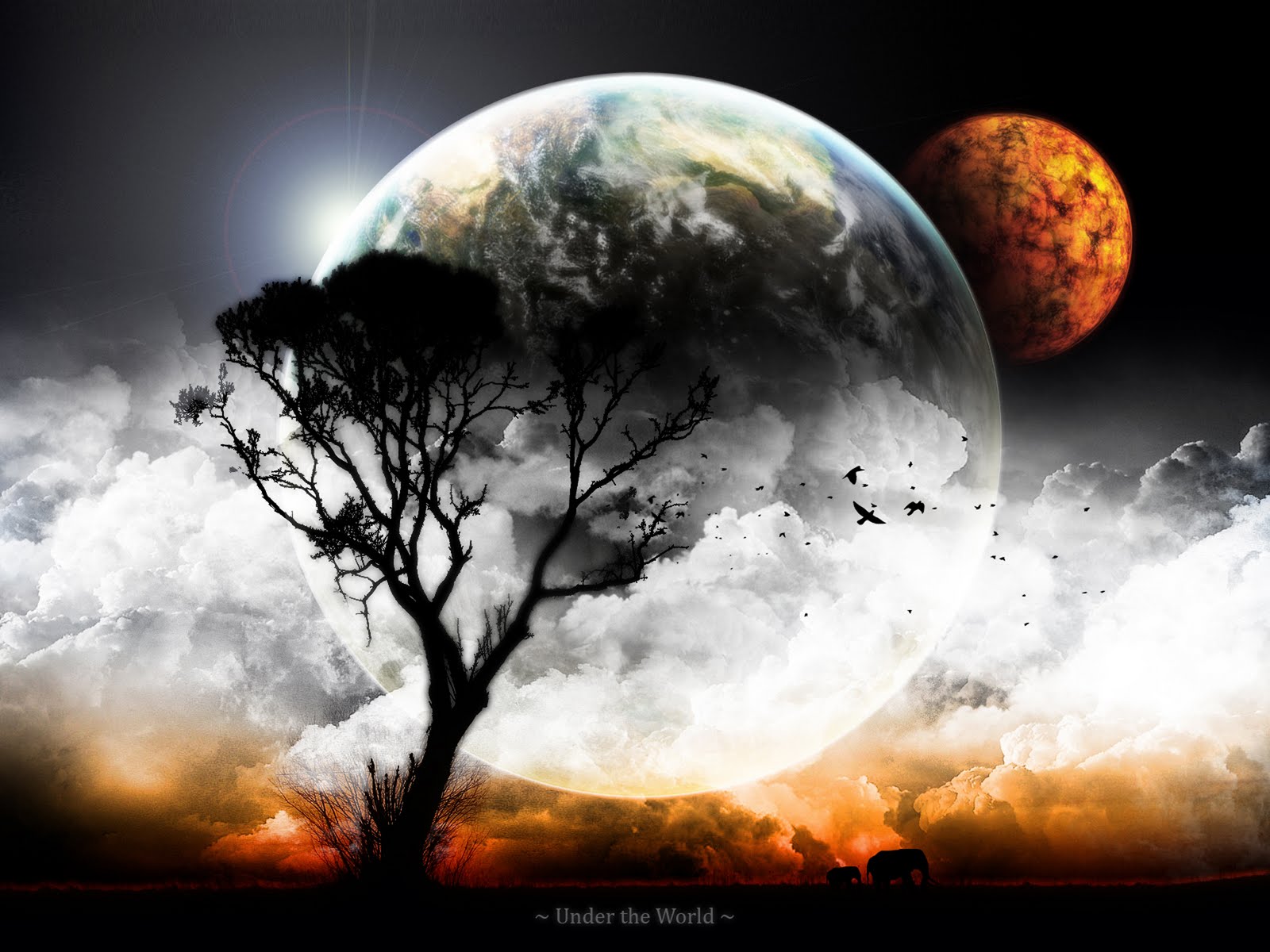 http://4.bp.blogspot.com/-ETCvGc0oE8Q/UIX0QT5xFQI/AAAAAAAACJk/R0YO22_wC78/s1600/wallpaper+20+-+TopDesignBR.jpg