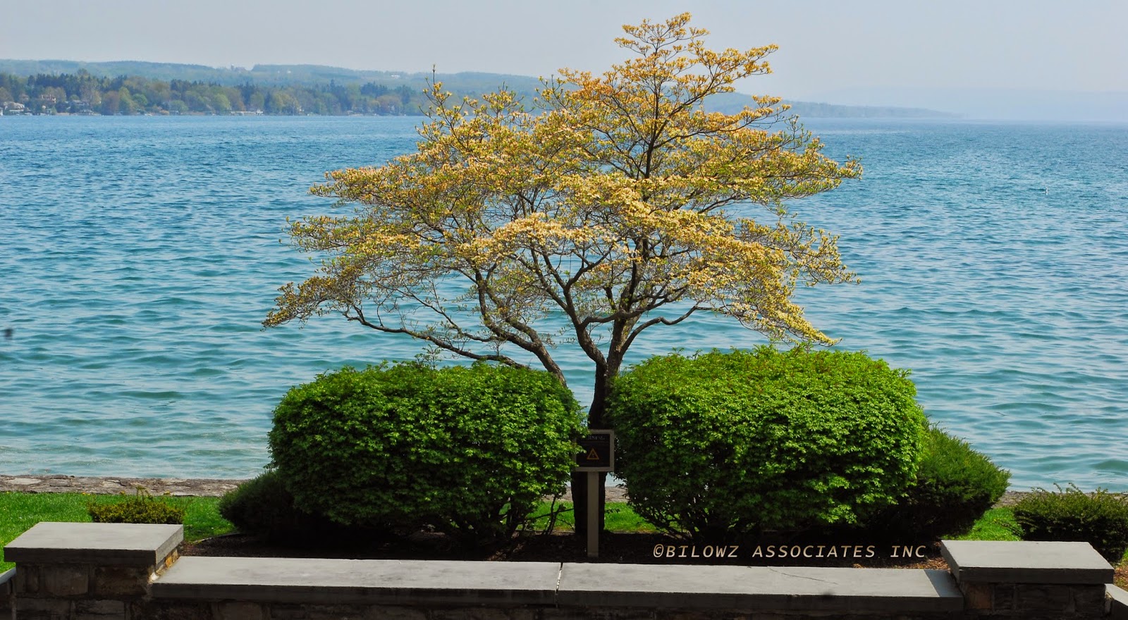 © All Images – property of Bilowz Associates Inc.