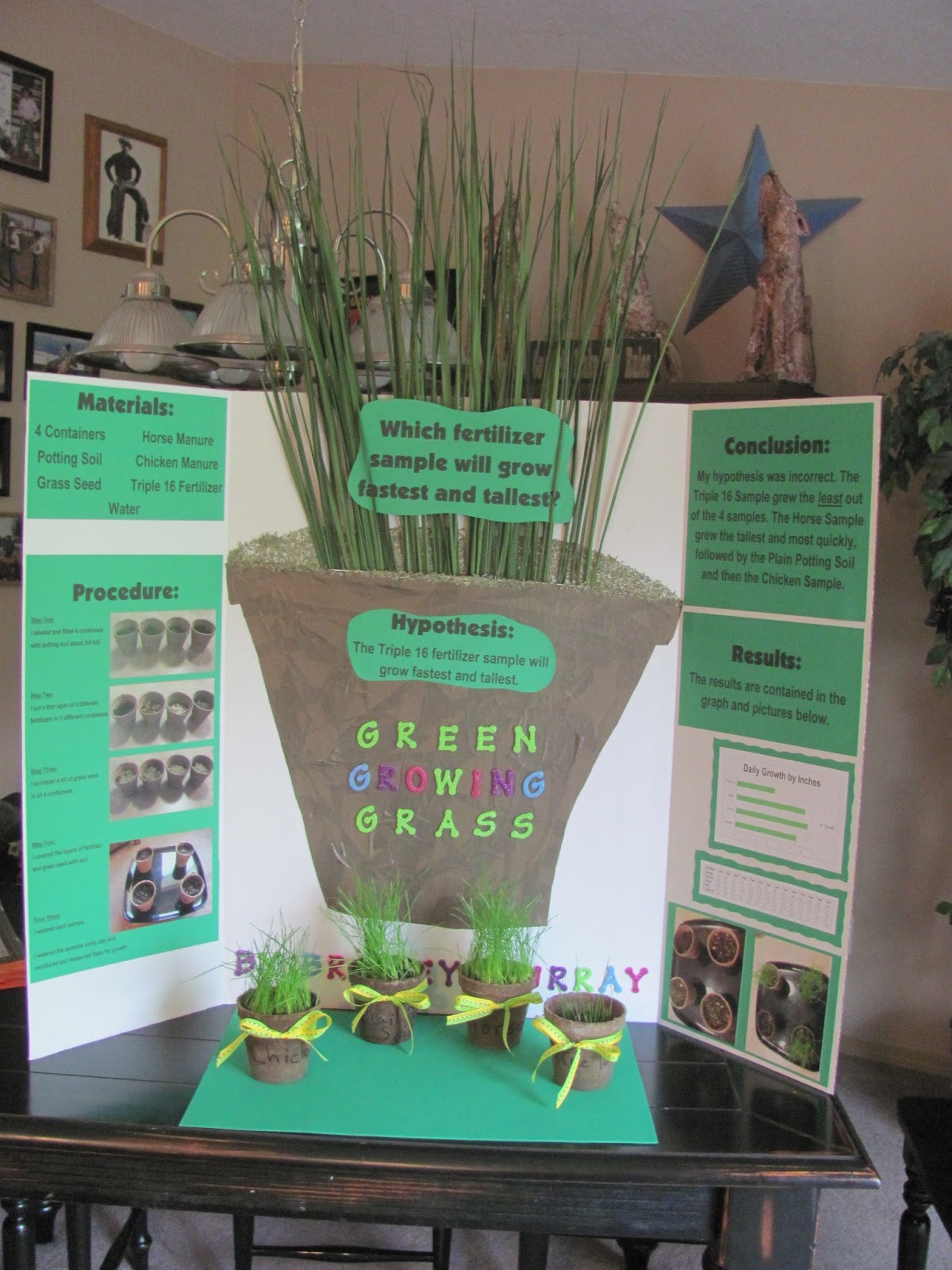 Life and Times of the 4 B's: Brailey's Fifth Grade Science Fair Project