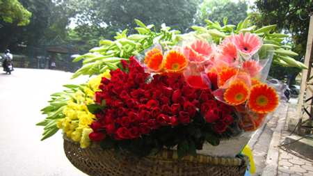 Hình ảnh hoa đẹp - Hoa loa kèn 11 Hình ảnh hoa đẹp - Hoa loa kèn 11